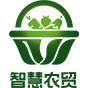 测试