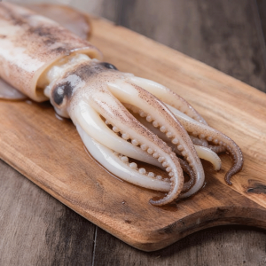 二本足鱿鱼须